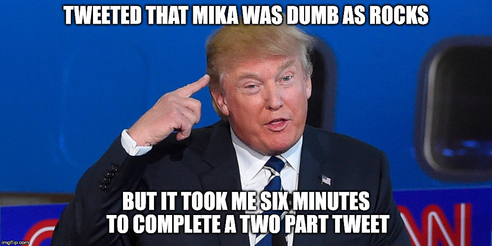 Donald Trump | TWEETED THAT MIKA WAS DUMB AS ROCKS; BUT IT TOOK ME SIX MINUTES TO COMPLETE A TWO PART TWEET | image tagged in donald trump | made w/ Imgflip meme maker