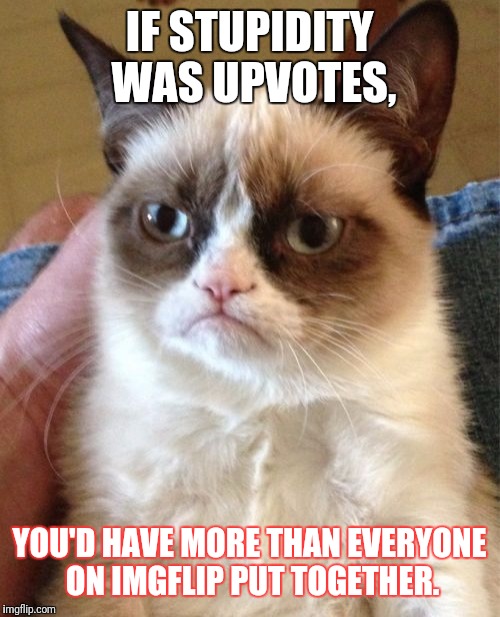 Grumpy Cat Meme | IF STUPIDITY WAS UPVOTES, YOU'D HAVE MORE THAN EVERYONE ON IMGFLIP PUT TOGETHER. | image tagged in memes,grumpy cat | made w/ Imgflip meme maker