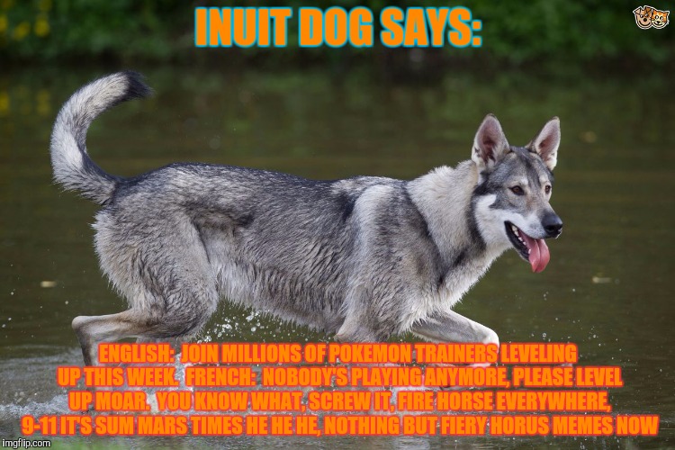 INUIT DOG SAYS: ENGLISH:  JOIN MILLIONS OF POKEMON TRAINERS LEVELING UP THIS WEEK.  FRENCH:  NOBODY'S PLAYING ANYMORE, PLEASE LEVEL UP MOAR. | made w/ Imgflip meme maker