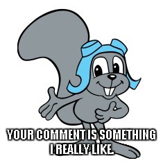 Rocky Squirrel | YOUR COMMENT IS SOMETHING I REALLY LIKE. | image tagged in rocky squirrel | made w/ Imgflip meme maker