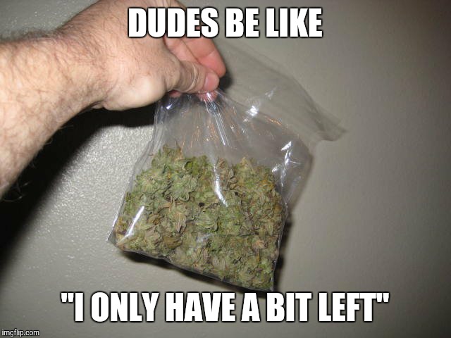 DUDES BE LIKE; "I ONLY HAVE A BIT LEFT" | image tagged in smoking weed,memes,smoke weed everyday,weed | made w/ Imgflip meme maker