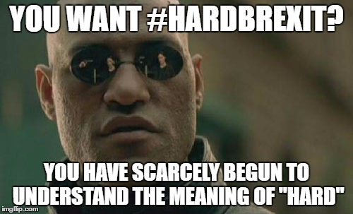 Matrix Morpheus Meme | YOU WANT #HARDBREXIT? YOU HAVE SCARCELY BEGUN TO UNDERSTAND
THE MEANING OF "HARD" | image tagged in memes,matrix morpheus | made w/ Imgflip meme maker