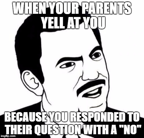 So true | WHEN YOUR PARENTS YELL AT YOU; BECAUSE YOU RESPONDED TO THEIR QUESTION WITH A "NO" | image tagged in memes,seriously face,parents | made w/ Imgflip meme maker