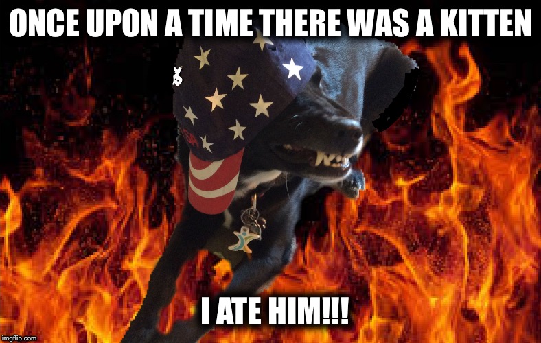 Dogs now rule | ONCE UPON A TIME THERE WAS A KITTEN; I ATE HIM!!! | image tagged in dogs now rule | made w/ Imgflip meme maker