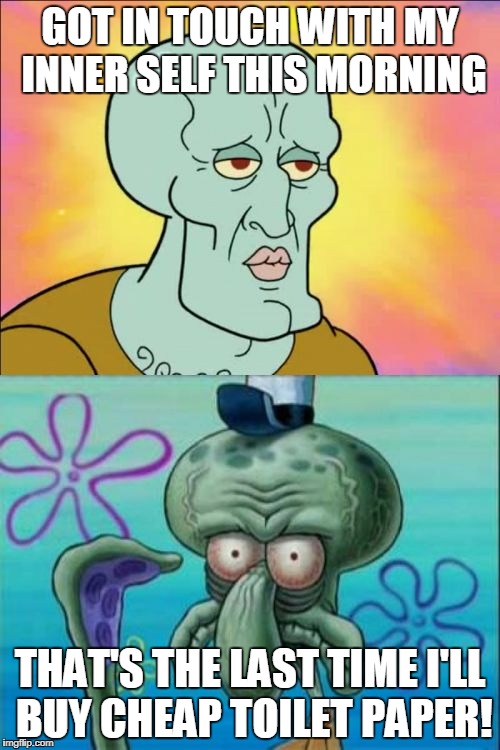 Squidward | GOT IN TOUCH WITH MY INNER SELF THIS MORNING; THAT'S THE LAST TIME I'LL BUY CHEAP TOILET PAPER! | image tagged in memes,squidward | made w/ Imgflip meme maker