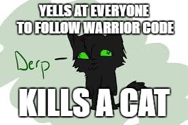 Hollyderp | YELLS AT EVERYONE TO FOLLOW WARRIOR CODE; KILLS A CAT | image tagged in warriors | made w/ Imgflip meme maker