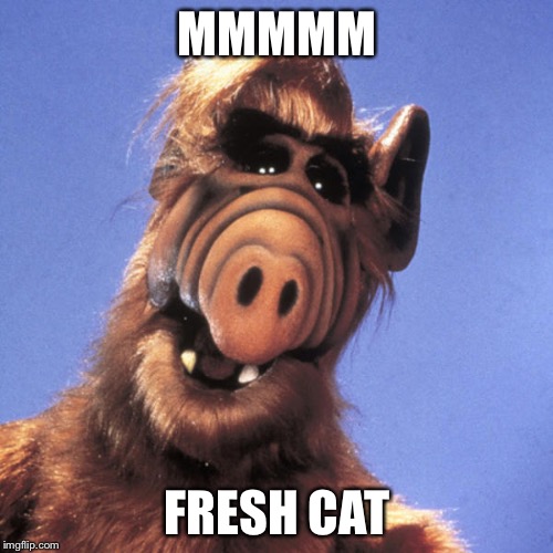 Alf  | MMMMM FRESH CAT | image tagged in alf | made w/ Imgflip meme maker