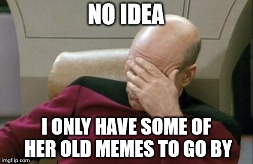 Captain Picard Facepalm Meme | NO IDEA I ONLY HAVE SOME OF HER OLD MEMES TO GO BY | image tagged in memes,captain picard facepalm | made w/ Imgflip meme maker
