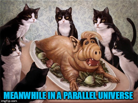 MEANWHILE IN A PARALLEL UNIVERSE | made w/ Imgflip meme maker