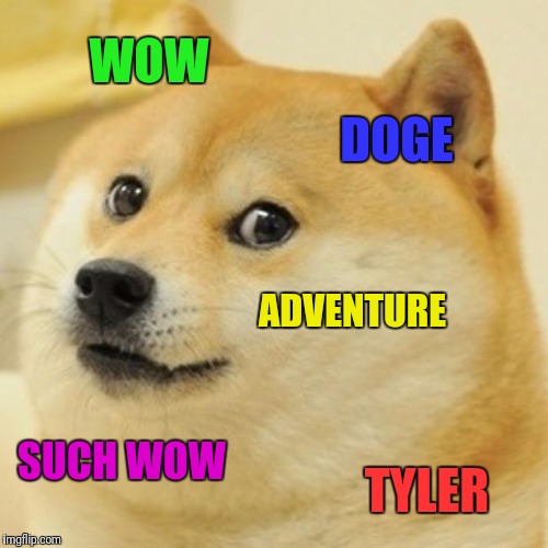 Doge Meme | WOW; DOGE; ADVENTURE; SUCH WOW; TYLER | image tagged in memes,doge | made w/ Imgflip meme maker