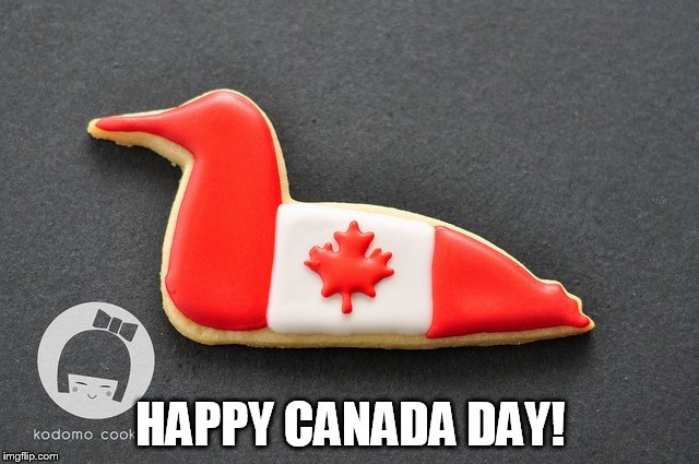 HAPPY CANADA DAY | HAPPY CANADA DAY! | image tagged in canada day,loon,cookie,happy canada day | made w/ Imgflip meme maker