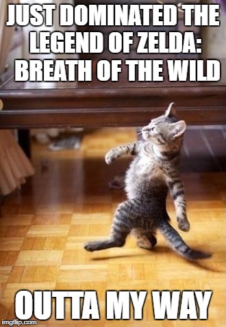 Cool Cat Stroll Meme | JUST DOMINATED THE LEGEND OF ZELDA:  BREATH OF THE WILD; OUTTA MY WAY | image tagged in memes,cool cat stroll | made w/ Imgflip meme maker