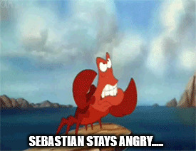 SEBASTIAN STAYS ANGRY..... | image tagged in sebastian stays angry | made w/ Imgflip meme maker