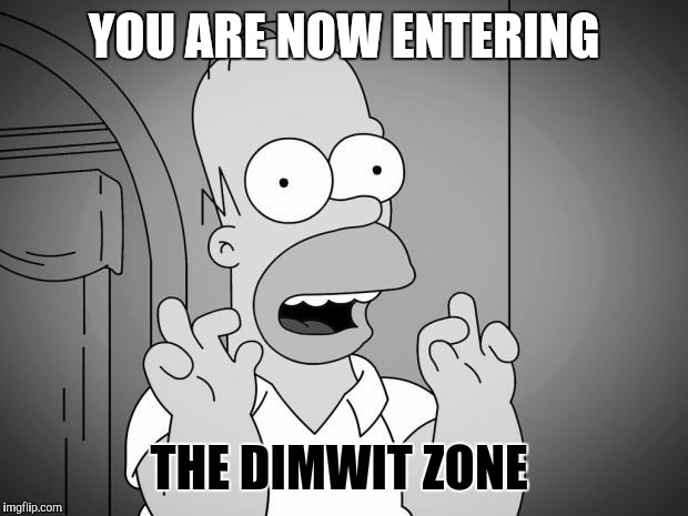 Homer Simpson  | YOU ARE NOW ENTERING; THE DIMWIT ZONE | image tagged in homer simpson,memes,funny,simpsons,television series,science fiction | made w/ Imgflip meme maker