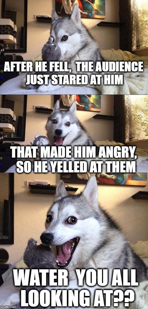 Bad Pun Dog Meme | AFTER HE FELL,  THE AUDIENCE JUST STARED AT HIM THAT MADE HIM ANGRY,  SO HE YELLED AT THEM WATER  YOU ALL LOOKING AT?? | image tagged in memes,bad pun dog | made w/ Imgflip meme maker