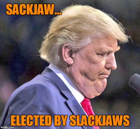 Sackjaw Drumpf | SACKJAW... ELECTED BY SLACKJAWS | image tagged in trump,donad trump,drumpf,shit | made w/ Imgflip meme maker