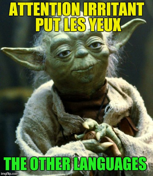 Star Wars Yoda Meme | ATTENTION IRRITANT PUT LES YEUX THE OTHER LANGUAGES | image tagged in memes,star wars yoda | made w/ Imgflip meme maker