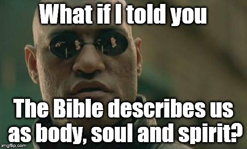 Matrix Morpheus Meme | What if I told you The Bible describes us as body, soul and spirit? | image tagged in memes,matrix morpheus | made w/ Imgflip meme maker