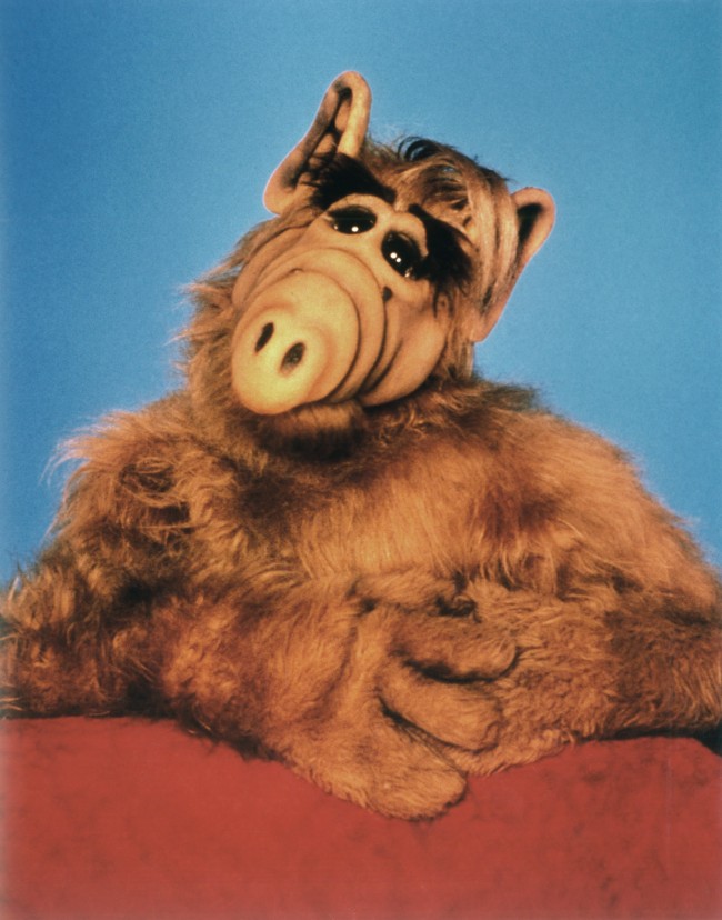 High Quality ALF Blank Meme Template