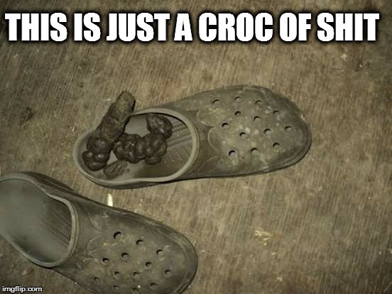 THIS IS JUST A CROC OF SHIT | image tagged in croc | made w/ Imgflip meme maker