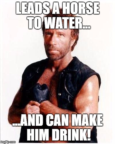 chuck norris 2 | LEADS A HORSE TO WATER... ...AND CAN MAKE HIM DRINK! | image tagged in chuck norris 2 | made w/ Imgflip meme maker