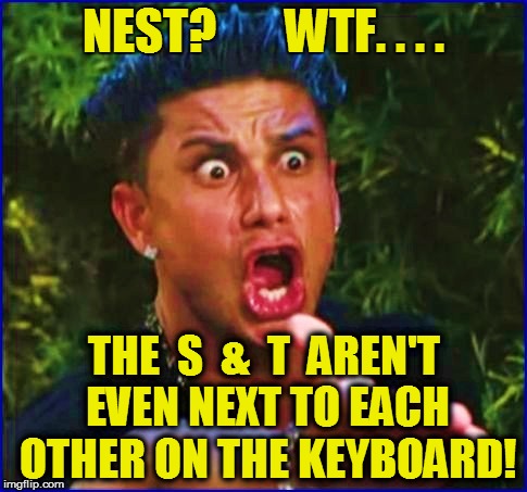 NEST?       WTF. . . . THE  S  &  T  AREN'T EVEN NEXT TO EACH OTHER ON THE KEYBOARD! | made w/ Imgflip meme maker