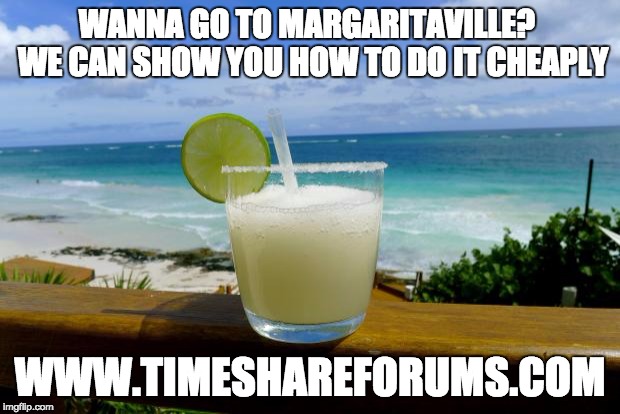 Margarita on the Beach | WANNA GO TO MARGARITAVILLE?  WE CAN SHOW YOU HOW TO DO IT CHEAPLY; WWW.TIMESHAREFORUMS.COM | image tagged in margarita on the beach | made w/ Imgflip meme maker