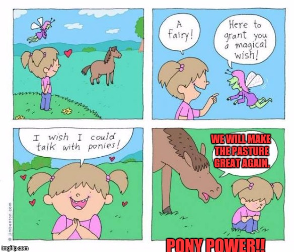PONY POWER!! (not too wild about either side but thought this was funny) | WE WILL MAKE THE PASTURE GREAT AGAIN. PONY POWER!! | image tagged in pony wish,memes,funny,politics,animals,humor | made w/ Imgflip meme maker