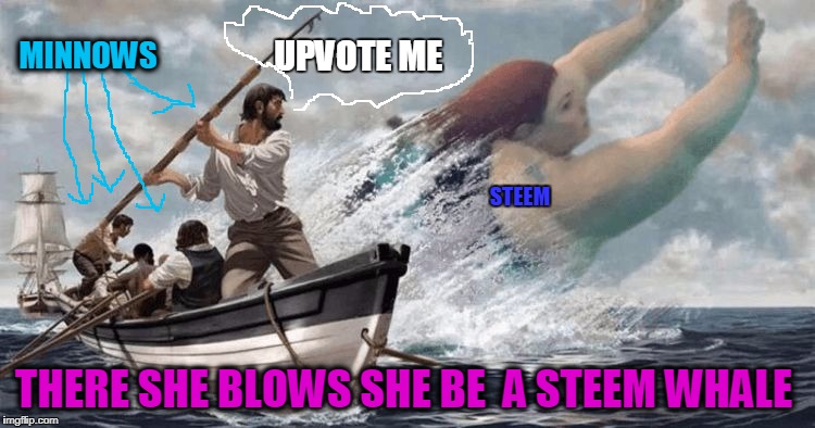 man the harpoons landwhale fat chick | MINNOWS; UPVOTE ME; STEEM; THERE SHE BLOWS SHE BE  A STEEM WHALE | image tagged in man the harpoons landwhale fat chick | made w/ Imgflip meme maker