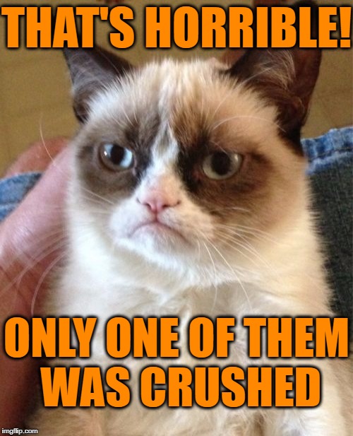 Grumpy Cat Meme | THAT'S HORRIBLE! ONLY ONE OF THEM WAS CRUSHED | image tagged in memes,grumpy cat | made w/ Imgflip meme maker