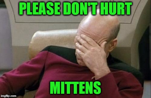 Captain Picard Facepalm Meme | PLEASE DON'T HURT MITTENS | image tagged in memes,captain picard facepalm | made w/ Imgflip meme maker