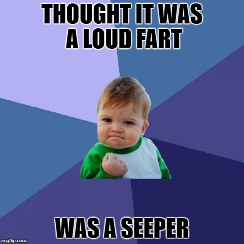 Success Kid Meme | THOUGHT IT WAS A LOUD FART; WAS A SEEPER | image tagged in memes,success kid | made w/ Imgflip meme maker