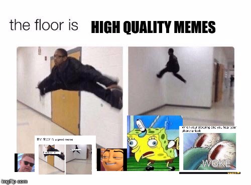 The floor is | HIGH QUALITY MEMES | image tagged in the floor is | made w/ Imgflip meme maker