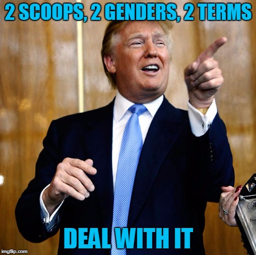 Donald Trump | 2 SCOOPS, 2 GENDERS, 2 TERMS; DEAL WITH IT | image tagged in donald trump | made w/ Imgflip meme maker
