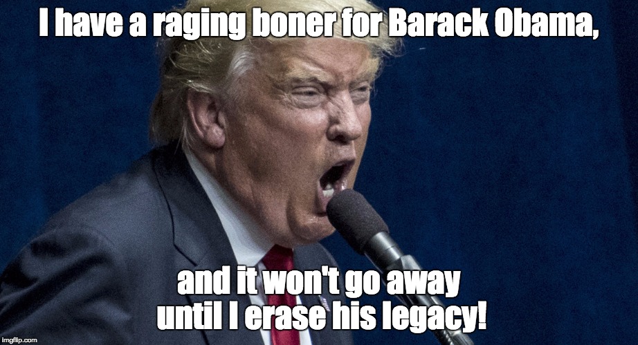 obama | I have a raging boner for Barack Obama, and it won't go away until I erase his legacy! | image tagged in donald trump | made w/ Imgflip meme maker