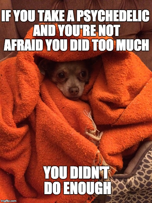 IF YOU TAKE A PSYCHEDELIC AND YOU'RE NOT AFRAID YOU DID TOO MUCH; YOU DIDN'T DO ENOUGH | image tagged in walle spiritual teacher | made w/ Imgflip meme maker