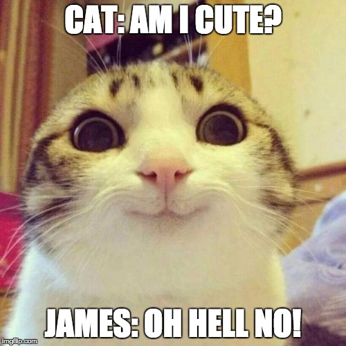 Smiling Cat Meme | CAT: AM I CUTE? JAMES: OH HELL NO! | image tagged in memes,smiling cat | made w/ Imgflip meme maker