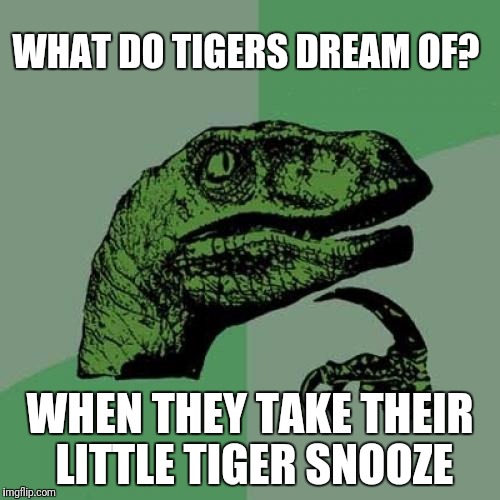 From The Hangover : ) | WHAT DO TIGERS DREAM OF? WHEN THEY TAKE THEIR LITTLE TIGER SNOOZE | image tagged in memes,philosoraptor | made w/ Imgflip meme maker