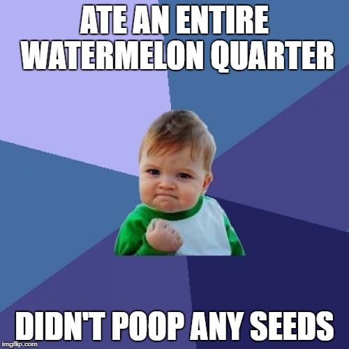 Success Kid Meme | ATE AN ENTIRE WATERMELON QUARTER; DIDN'T POOP ANY SEEDS | image tagged in memes,success kid | made w/ Imgflip meme maker