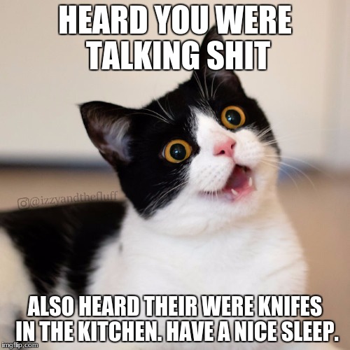 revenge | HEARD YOU WERE TALKING SHIT; ALSO HEARD THEIR WERE KNIFES IN THE KITCHEN. HAVE A NICE SLEEP. | image tagged in knifes,talking shit,cat | made w/ Imgflip meme maker