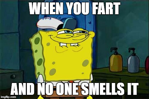 WHEN YOU FART; AND NO ONE SMELLS IT | made w/ Imgflip meme maker