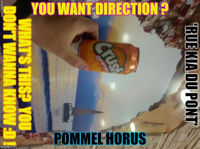 YOU WANT DIRECTION ? POMMEL HORUS | made w/ Imgflip meme maker