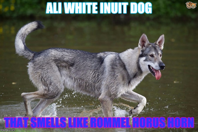 ALI WHITE INUIT DOG THAT SMELLS LIKE ROMMEL HORUS HORN | made w/ Imgflip meme maker