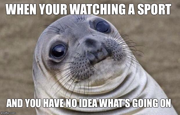 Awkward Moment Sealion Meme | WHEN YOUR WATCHING A SPORT; AND YOU HAVE NO IDEA WHAT'S GOING ON | image tagged in memes,awkward moment sealion | made w/ Imgflip meme maker