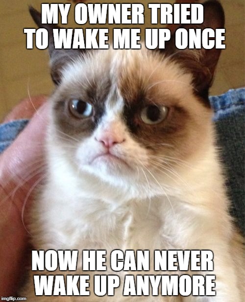 No one can disturb my sleep | MY OWNER TRIED TO WAKE ME UP ONCE; NOW HE CAN NEVER WAKE UP ANYMORE | image tagged in memes,grumpy cat | made w/ Imgflip meme maker