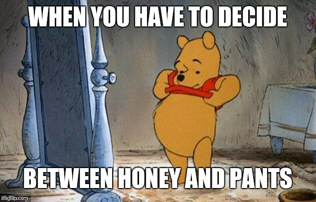 Winnie the Pooh | WHEN YOU HAVE TO DECIDE; BETWEEN HONEY AND PANTS | image tagged in winnie the pooh | made w/ Imgflip meme maker