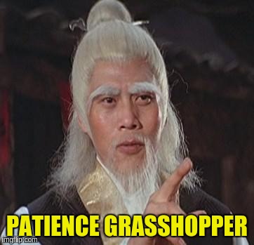PATIENCE GRASSHOPPER | made w/ Imgflip meme maker