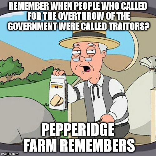 Pepperidge Farm Remembers | REMEMBER WHEN PEOPLE WHO CALLED FOR THE OVERTHROW OF THE GOVERNMENT WERE CALLED TRAITORS? PEPPERIDGE FARM REMEMBERS | image tagged in memes,pepperidge farm remembers | made w/ Imgflip meme maker