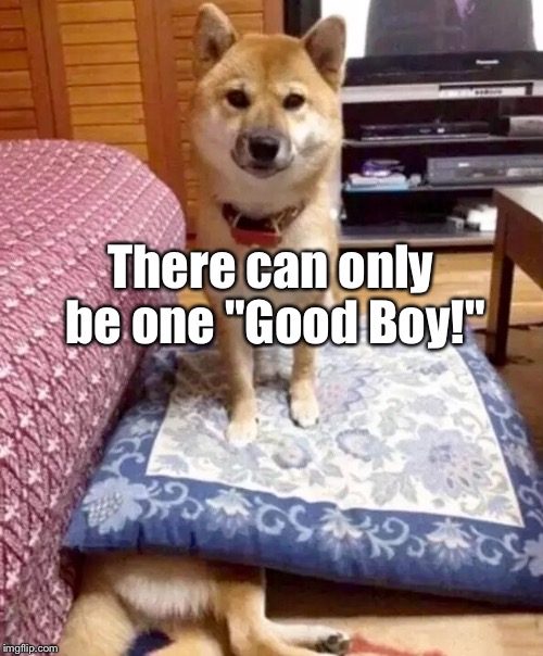 Survival Of The "Ruff"-est  | There can only be one "Good Boy!" | image tagged in memes,funny dogs,animals,there can be only one | made w/ Imgflip meme maker