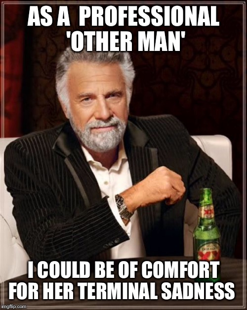 The Most Interesting Man In The World Meme | AS A  PROFESSIONAL 'OTHER MAN' I COULD BE OF COMFORT FOR HER TERMINAL SADNESS | image tagged in memes,the most interesting man in the world | made w/ Imgflip meme maker